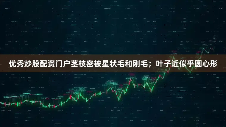 优秀炒股配资门户茎枝密被星状毛和刚毛；叶子近似乎圆心形