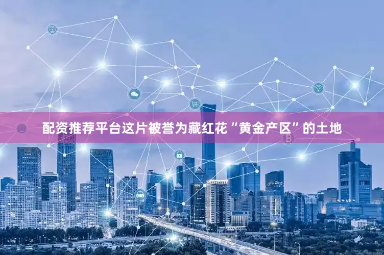 配资推荐平台这片被誉为藏红花“黄金产区”的土地